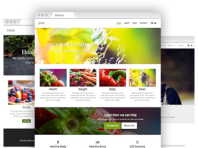 A selection of easy–to–re–design website templates